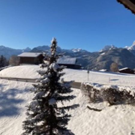 Chalet Soldanella 10 Guests Gstaad Exterior photo