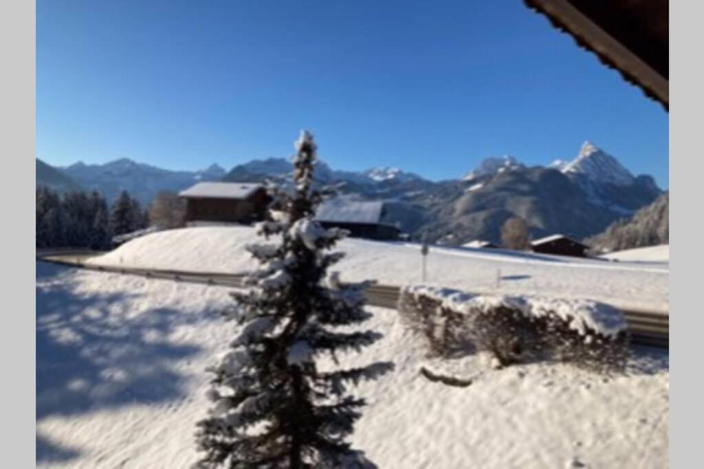 Chalet Soldanella 10 Guests Gstaad Exterior photo
